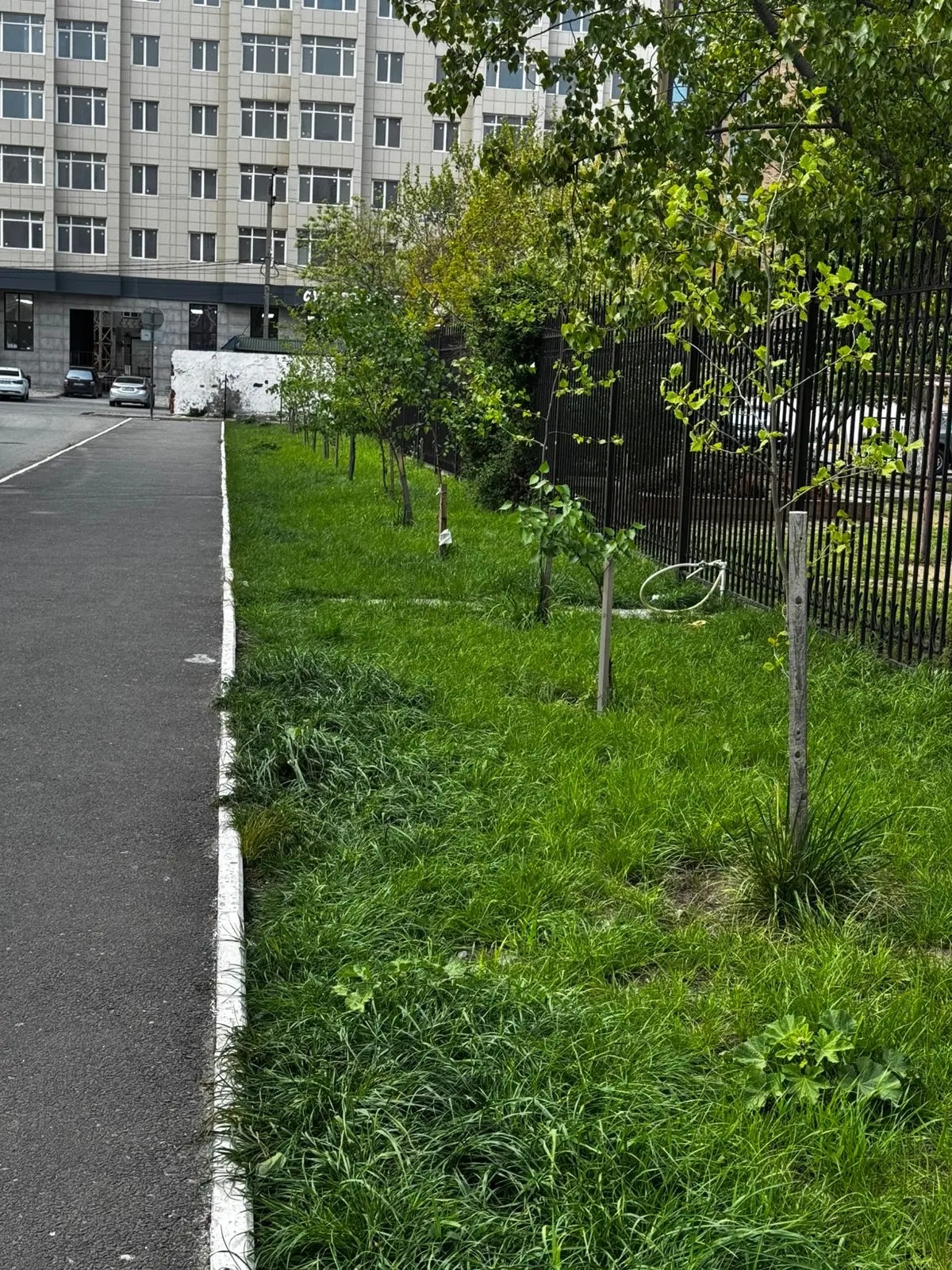 То, что было "ДО"